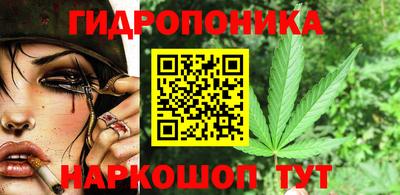 молекула духа Нальчик