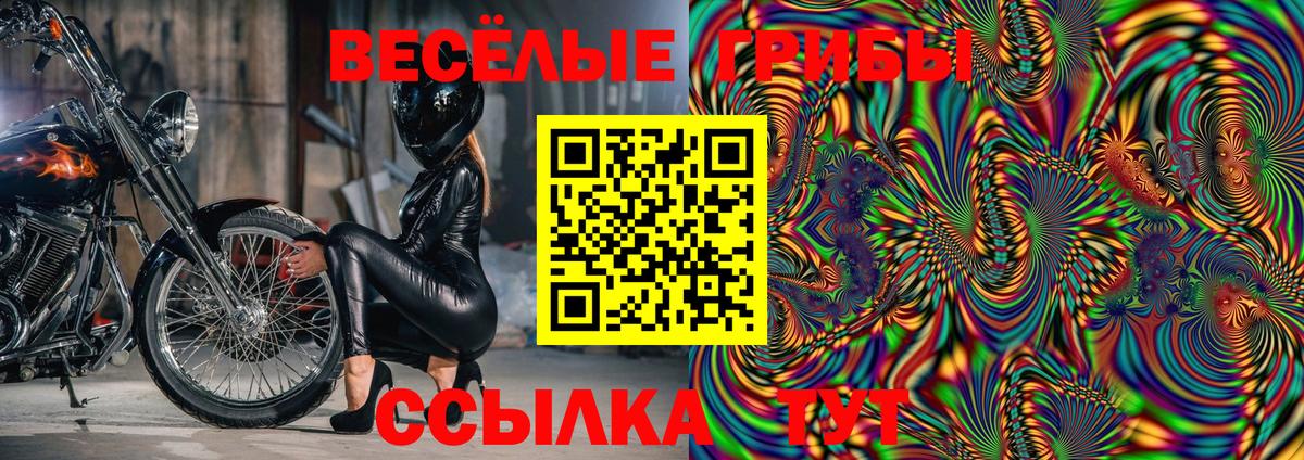 Псилоцибиновые грибы Psilocybine cubensis Гулькевичи
